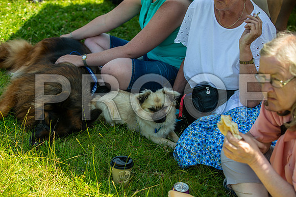 2302__PAWSFundogShow_July2022_cshaw