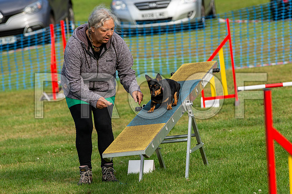 0067_SpringersFunDay2019_craigshawphoto