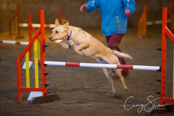 122_springfling2015_bluplanetphoto