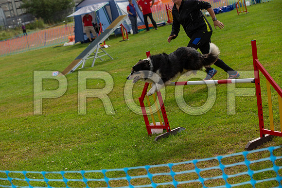 0782_SpringersFunDay2019_craigshawphoto