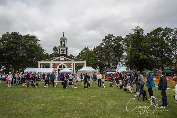 51_BarkintheParkHuddersfield_2014_bluplanetphoto