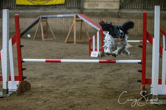 1392_springfling2015_bluplanetphoto