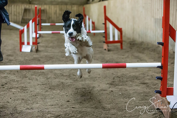 2528_springfling2015_bluplanetphoto