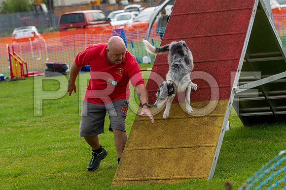 0533_SpringersFunDay2019_craigshawphoto