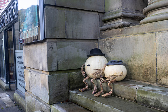1253_HebdenPumpkinTrail2024_Cshaw-