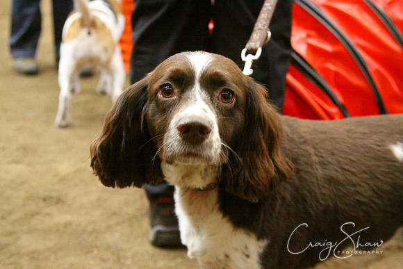 spring fling 2012-1398