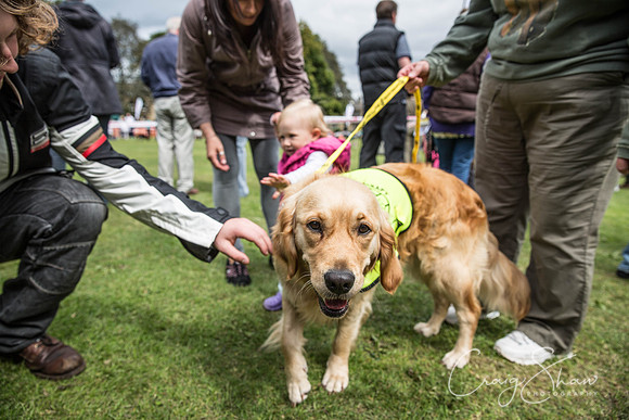 457_BarkintheParkHuddersfield_2014_bluplanetphoto