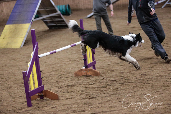 1645_SpringFling2014_bluplanetphoto