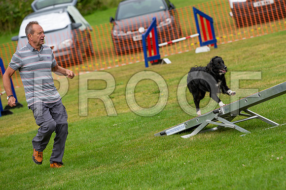 1015_SpringersFunDay2019_craigshawphoto