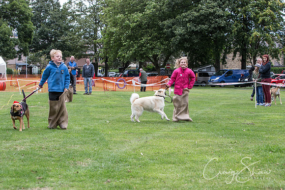 1990_BarkintheParkHuddersfield_2014_bluplanetphoto