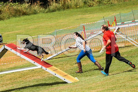 3300_SpringersFunDay2019_craigshawphoto