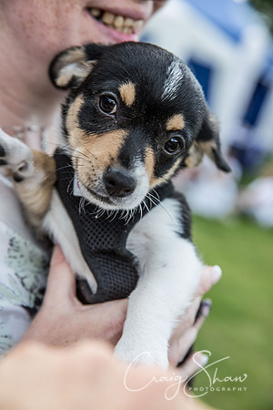 1819_K9Partyinthepark2014_RSPCAHalifax_bluplanetphoto