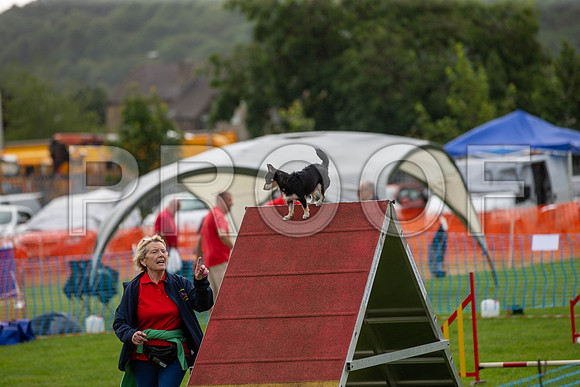 0328_SpringersFunDay2019_craigshawphoto