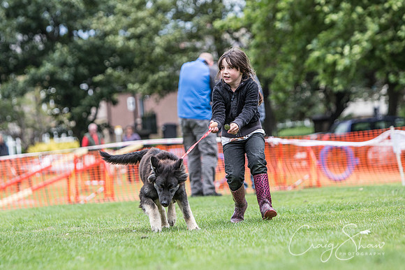 1892_BarkintheParkHuddersfield_2014_bluplanetphoto