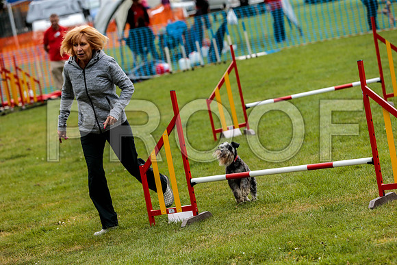 2686_SpringersFunDay2019_craigshawphoto