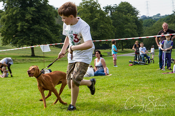 RSPCA Dog Day Afternoon
