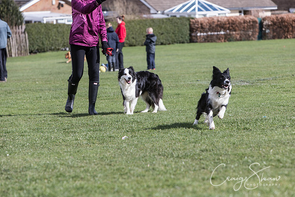 1264__SpringersFunDay_March2014_bluplanetphoto