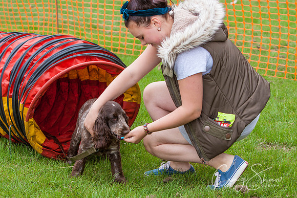 RSPCA Dog Day Afternoon