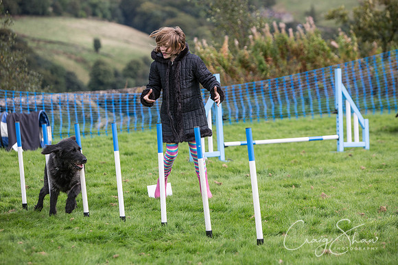 1312_Woofstock2016_craigshaw