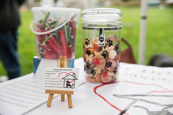 402_Woofstock2016_craigshaw