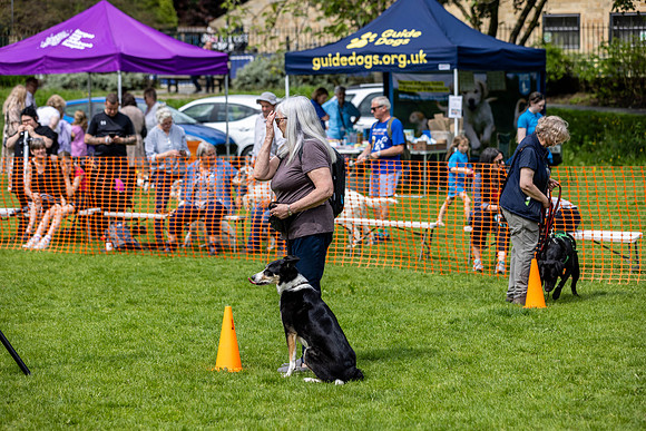 2462_HebdensHappyHounds2024_Cshaw-