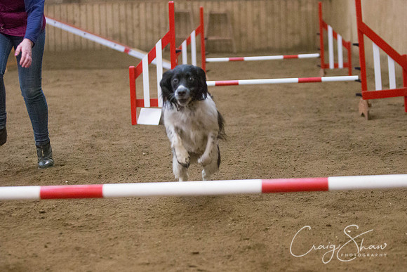 2706_springfling2015_bluplanetphoto