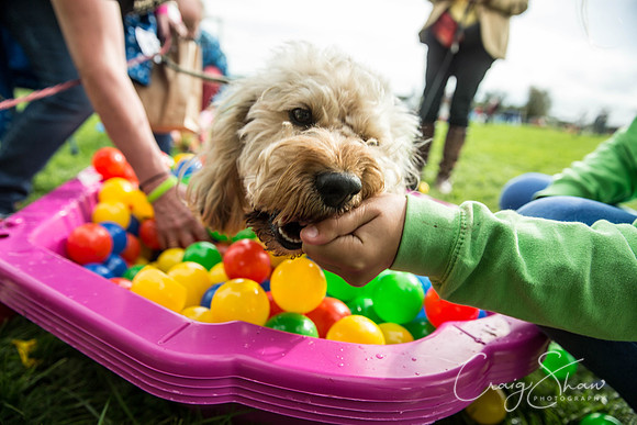 754_Woofstock2016_craigshaw