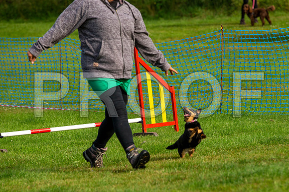 0076_SpringersFunDay2019_craigshawphoto