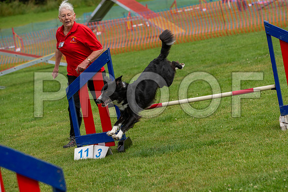 1515_SpringersFunDay2019_craigshawphoto