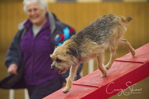 spring fling 2012-2277