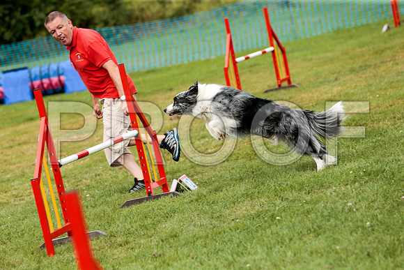 3185_SpringersFunDay2019_craigshawphoto