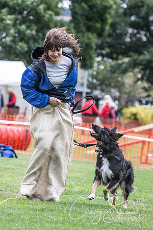 2012_BarkintheParkHuddersfield_2014_bluplanetphoto