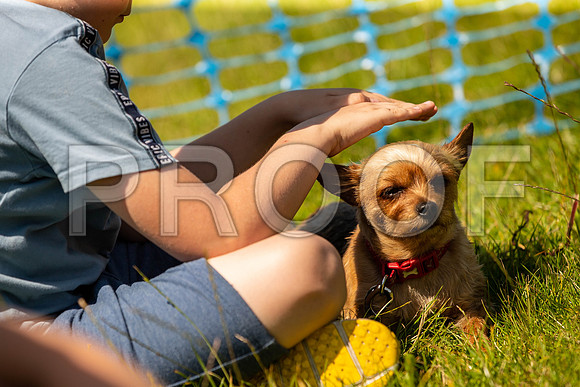 2325__PAWSFundogShow_July2022_cshaw