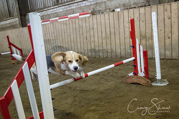 504_springfling2015_bluplanetphoto
