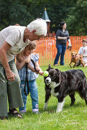 RSPCA Dog Day Afternoon