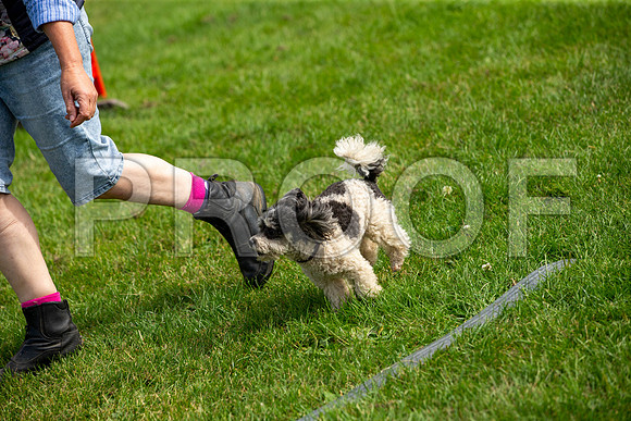 1188_SpringersFunDay2019_craigshawphoto