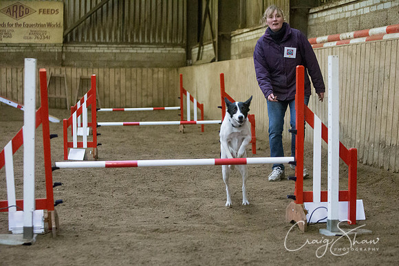 2608_springfling2015_bluplanetphoto