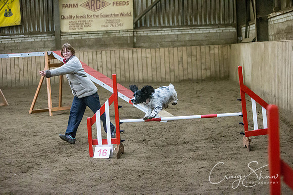 1390_springfling2015_bluplanetphoto