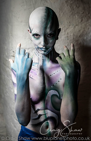 Model Portfolios
