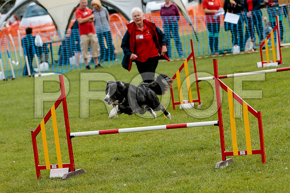 2570_SpringersFunDay2019_craigshawphoto