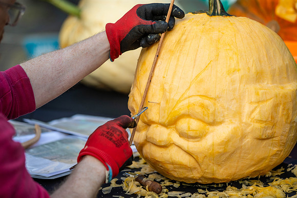 852_HebdenPumpkinTrail2024_Cshaw-