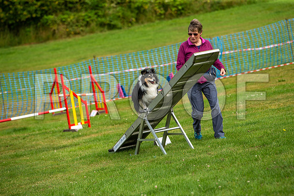 0630_SpringersFunDay2019_craigshawphoto