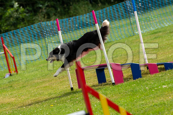 0799_SpringersFunDay2019_craigshawphoto