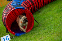 0487_SpringersFunDay2019_craigshawphoto