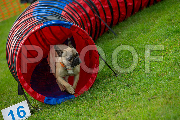 0487_SpringersFunDay2019_craigshawphoto