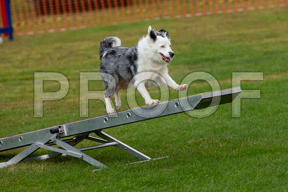 1118_SpringersFunDay2019_craigshawphoto