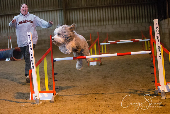 1120_springfling2015_bluplanetphoto