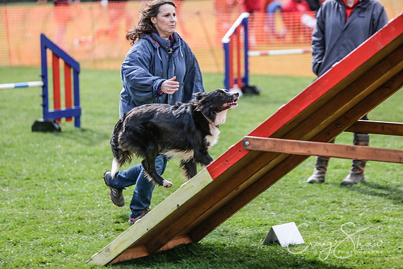 188__SpringersFunDay_March2014_bluplanetphoto