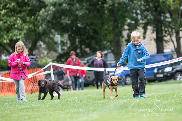 1888_BarkintheParkHuddersfield_2014_bluplanetphoto