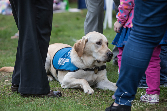 80_BarkintheParkHuddersfield_2014_bluplanetphoto